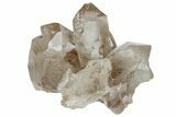 Rutilated Quartz Crystal Cluster - Brazil #172995-1